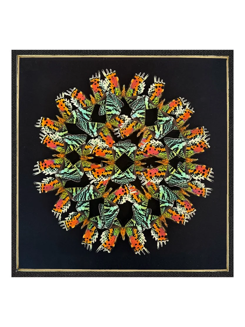 Green Flash Mandala — Hasharat